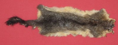 Picture of this lot Tanned Furs - Australian Opossum