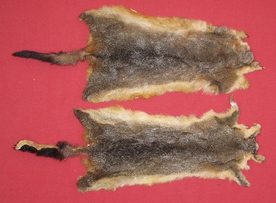 Picture of this lot Tanned Furs - Australian Opossum