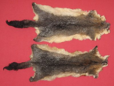 Picture of this lot Tanned Furs - Australian Opossum