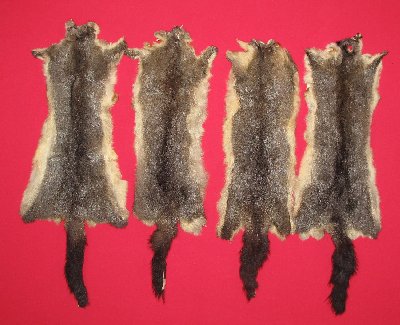 Picture of this lot Tanned Furs - Australian Opossum