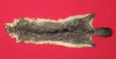Picture of this lot Tanned Furs - Australian Opossum