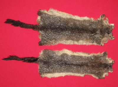 Picture of this lot Tanned Furs - Australian Opossum