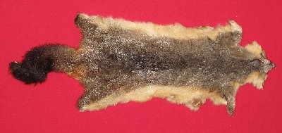 Picture of this lot Tanned Furs - Australian Opossum