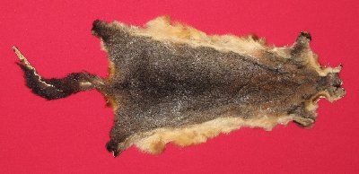 Picture of this lot Tanned Furs - Australian Opossum