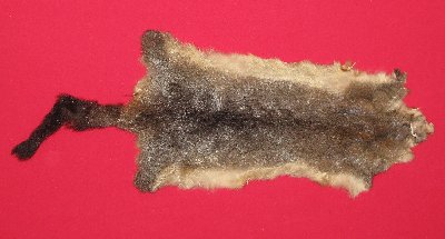 Picture of this lot Tanned Furs - Australian Opossum