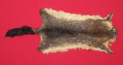 Picture of this lot Tanned Furs - Australian Opossum