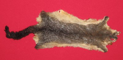 Picture of this lot Tanned Furs - Australian Opossum
