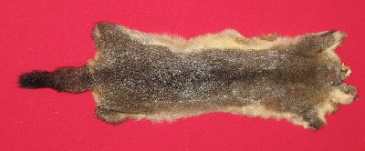 Picture of this lot Tanned Furs - Australian Opossum