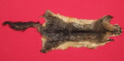 Picture of this lot Tanned Furs - Australian Opossum