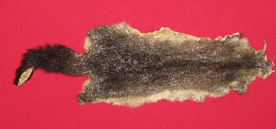 Picture of this lot Tanned Furs - Australian Opossum