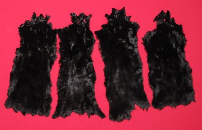 Picture of this lot Tanned Furs - Australian Opossum