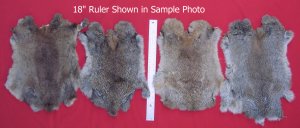 Picture of this lot Tanned Furs - Domestic Rabbit