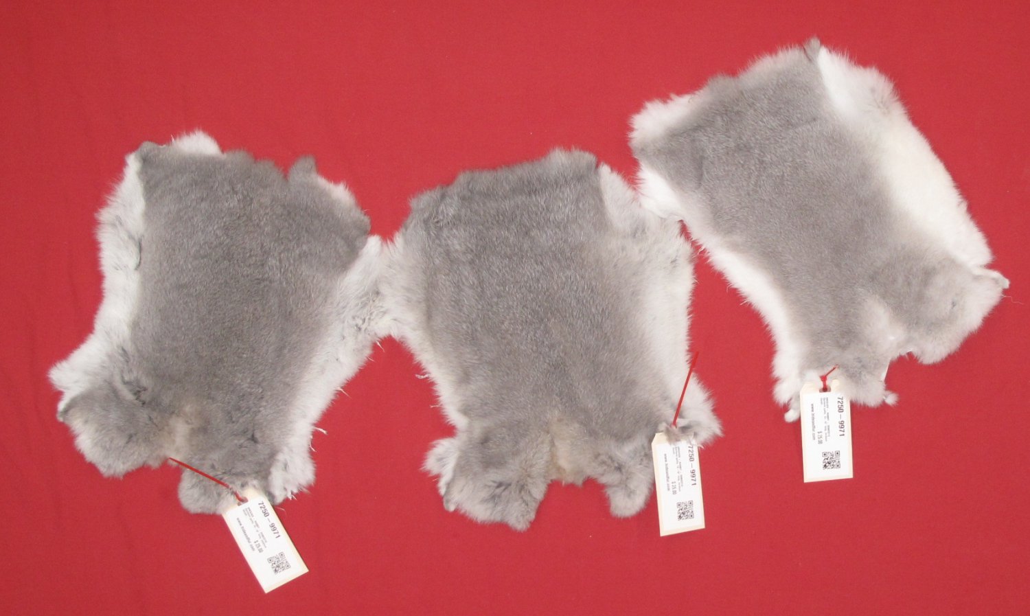 Tanned Furs : DOMESTIC RABBIT (7250-9971) : hideandfur.com