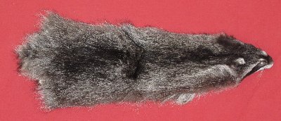 Picture of this lot Tanned Raccoon Hides, Pelts, Skins