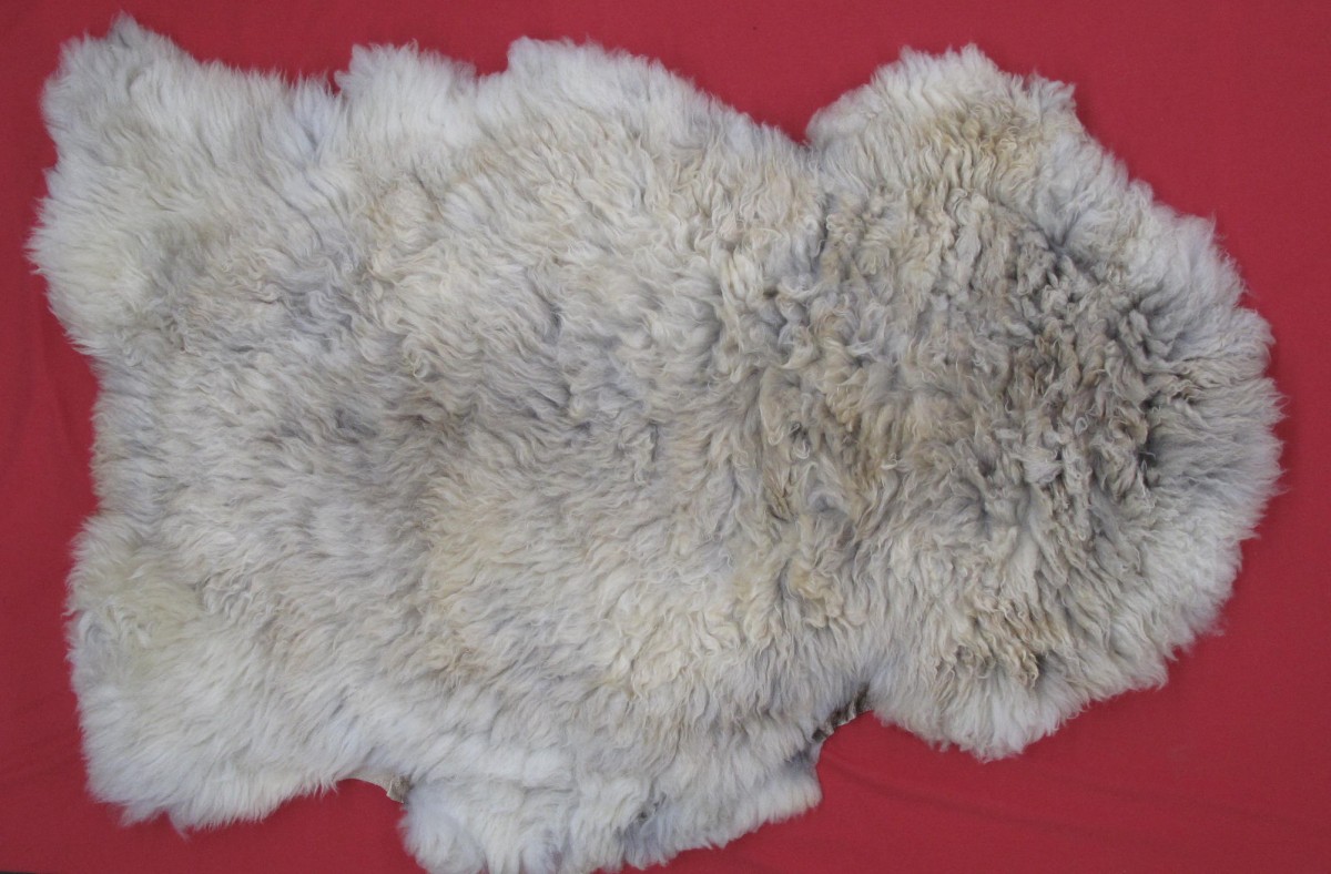 Tanned Furs : DOMESTIC SHEEP - REGULAR HIDES (7340-0245) : hideandfur.com