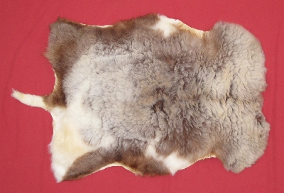 Tanned Domestic Sheep Hides, Furs, Pelts, Skins for sale by www