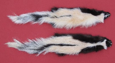 Picture of this lot Tanned Skunk Hides, Furs, Pelts, Skins