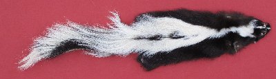 Picture of this lot Tanned Skunk Hides, Furs, Pelts, Skins
