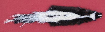 Picture of this lot Tanned Skunk Hides, Furs, Pelts, Skins