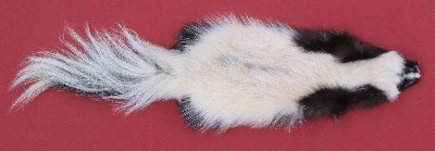 Picture of this lot Tanned Skunk Hides, Furs, Pelts, Skins
