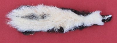 Picture of this lot Tanned Skunk Hides, Furs, Pelts, Skins