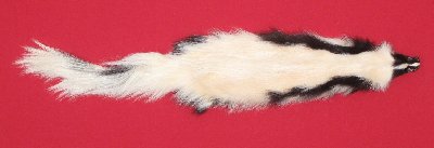 Picture of this lot Tanned Skunk Hides, Furs, Pelts, Skins