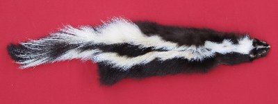 Picture of this lot Tanned Skunk Hides, Furs, Pelts, Skins