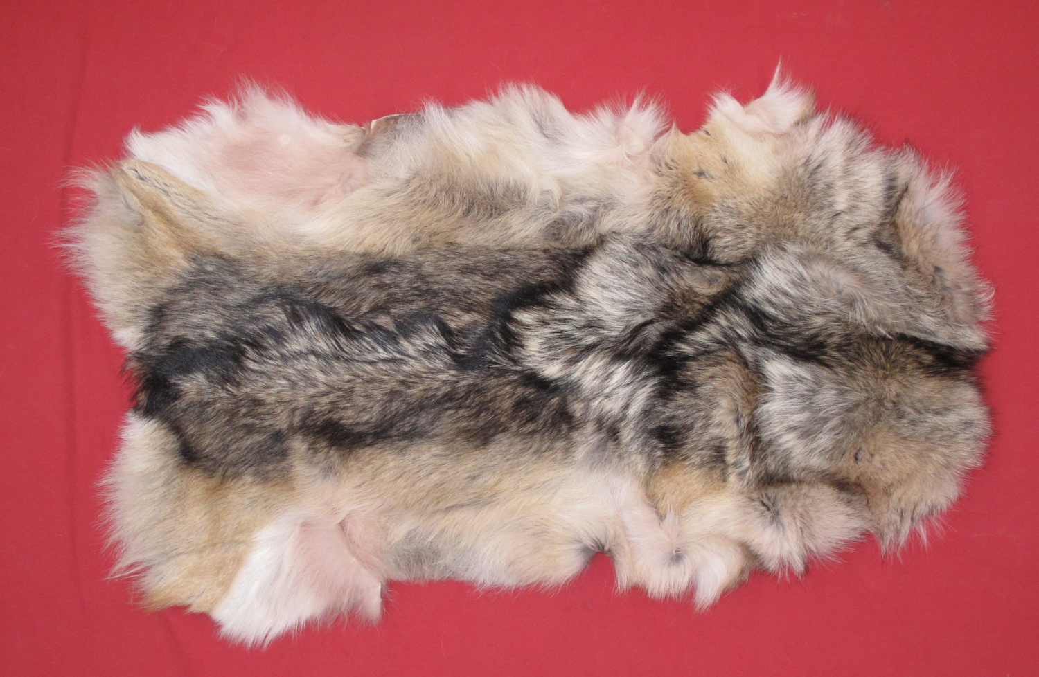 Tanned Furs : WOLF (7480-1701) : hideandfur.com