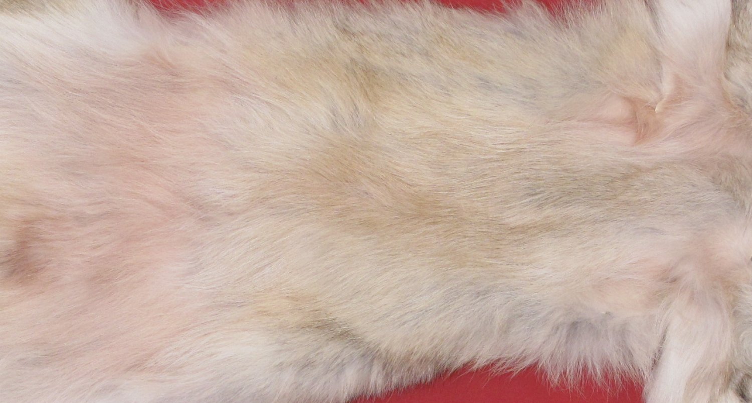 Tanned Furs : WOLF (7480-2262) : hideandfur.com