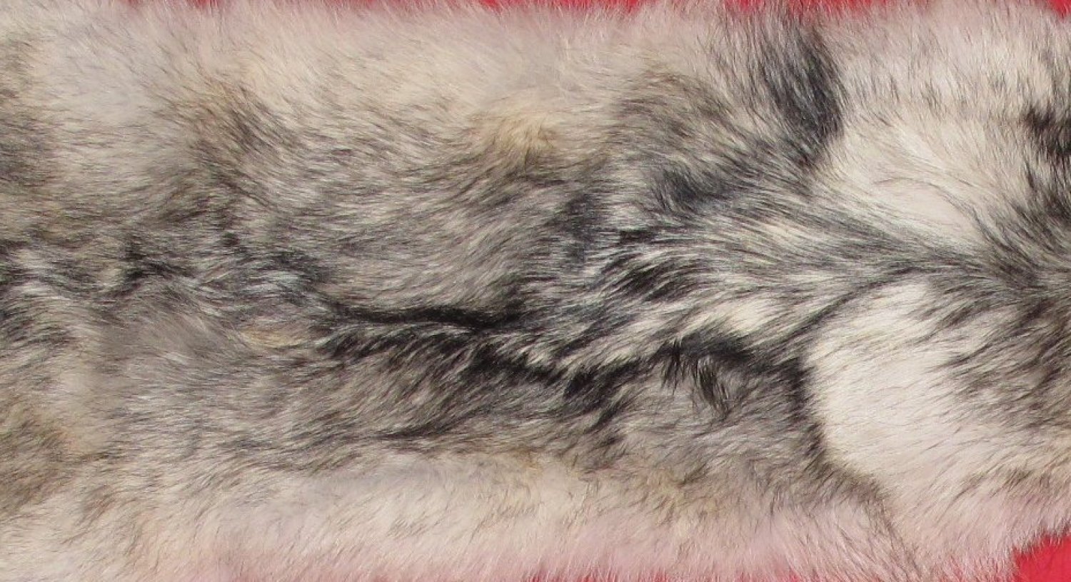Tanned Furs WOLF 7480 2279 Hideandfur