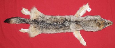 Picture of this lot Tanned Wolf Hides, Pelts, Skins