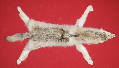 Picture of this lot Tanned Wolf Hides, Pelts, Skins