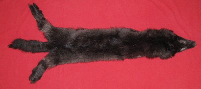Picture of this lot Tanned Wolf Hides, Pelts, Skins