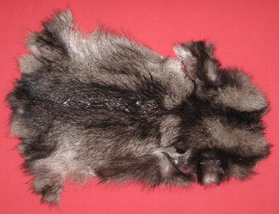 Picture of this lot Tanned Wolf Hides, Pelts, Skins