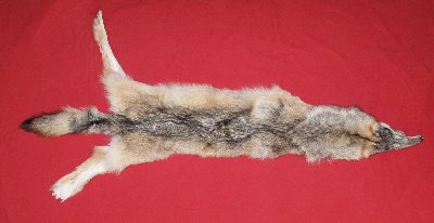 Picture of this lot Tanned Wolf Hides, Pelts, Skins