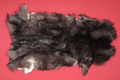 Picture of this lot Tanned Wolf Hides, Pelts, Skins