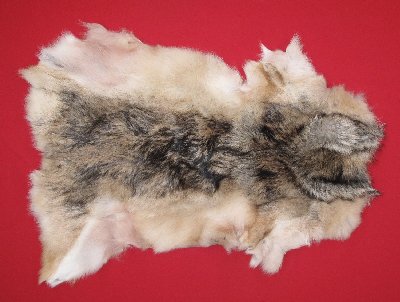 Picture of this lot Tanned Wolf Hides, Pelts, Skins