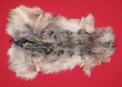 Picture of this lot Tanned Wolf Hides, Pelts, Skins