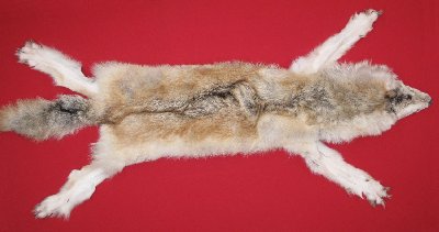 Picture of this lot Tanned Wolf Hides, Pelts, Skins