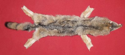 Picture of this lot Tanned Wolf Hides, Pelts, Skins