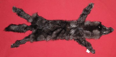 Picture of this lot Tanned Wolf Hides, Pelts, Skins