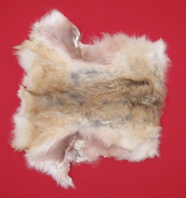 Picture of this lot Tanned Wolf Hides, Pelts, Skins