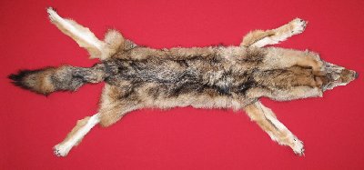 Picture of this lot Tanned Wolf Hides, Pelts, Skins