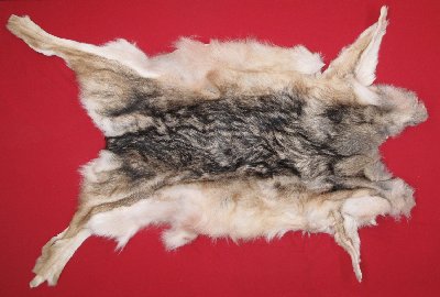 Picture of this lot Tanned Wolf Hides, Pelts, Skins