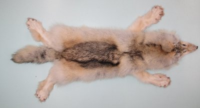 Picture of this lot Tanned Wolf Hides, Pelts, Skins