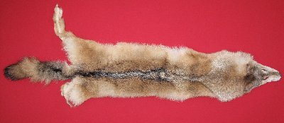 Picture of this lot Tanned Wolf Hides, Pelts, Skins