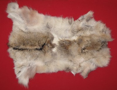 Picture of this lot Tanned Wolf Hides, Pelts, Skins