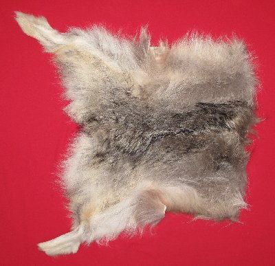 Picture of this lot Tanned Wolf Hides, Pelts, Skins