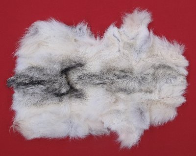 Picture of this lot Tanned Wolf Hides, Pelts, Skins