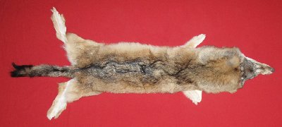 Picture of this lot Tanned Wolf Hides, Pelts, Skins